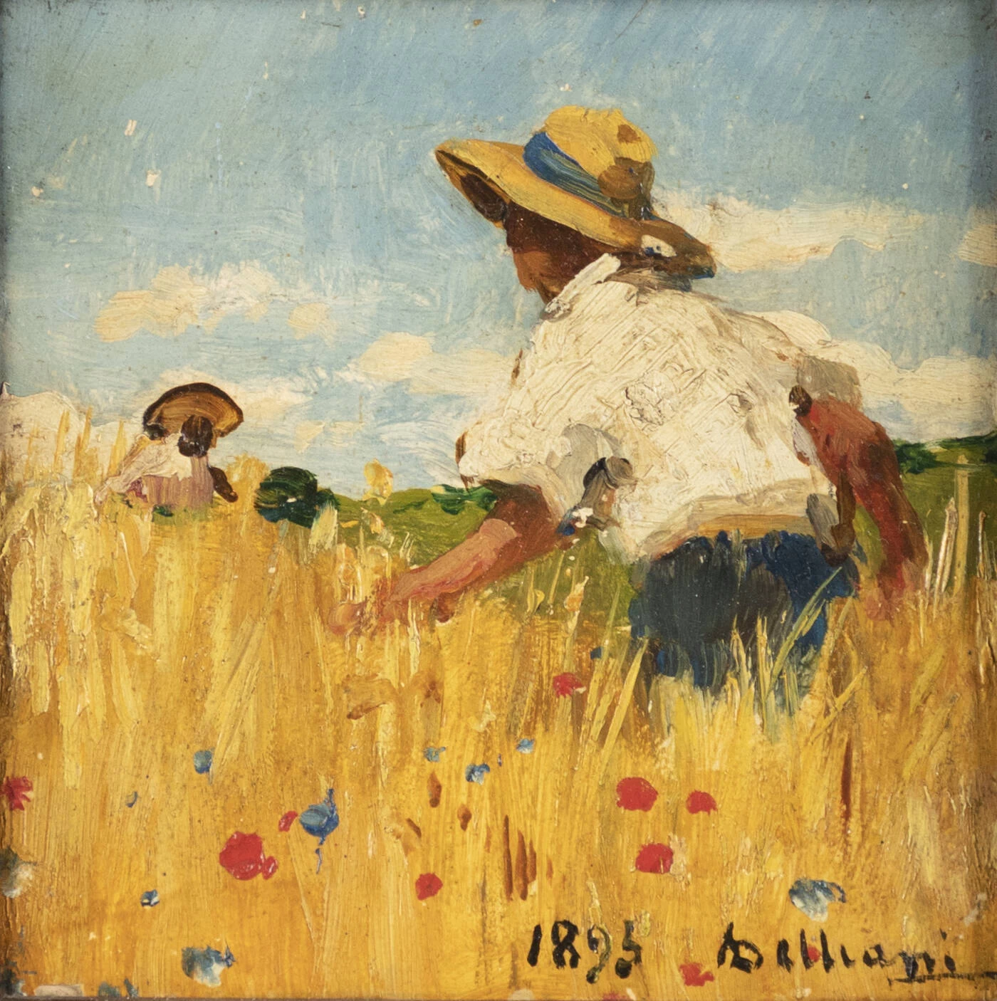 Tra le spighe di grano